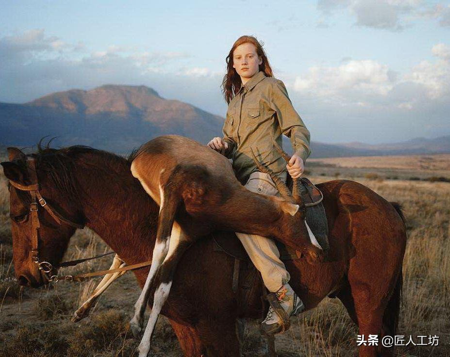 军用博伊战术刀,博伊刀最经典刀型