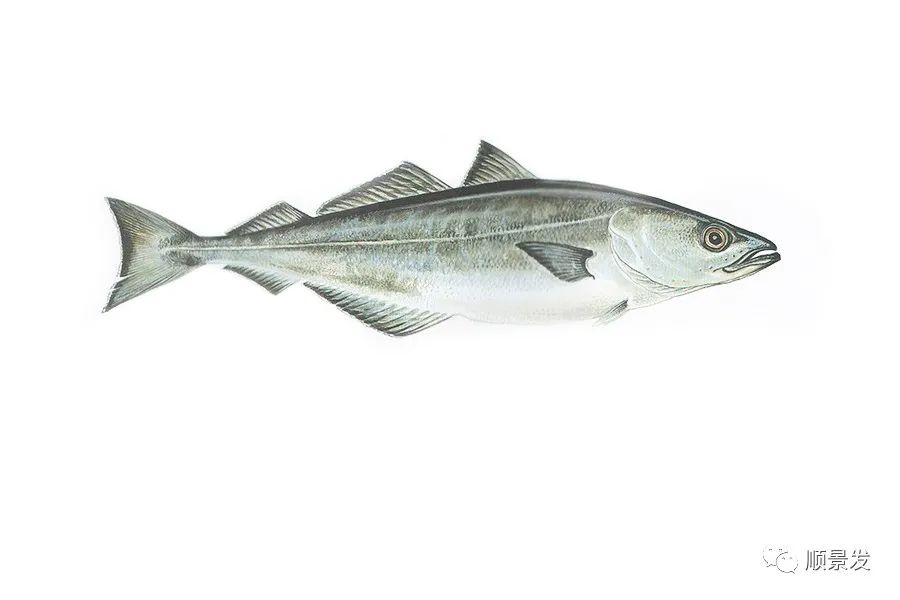 挪威和中国签订协议,挪威希望与中国加强合作