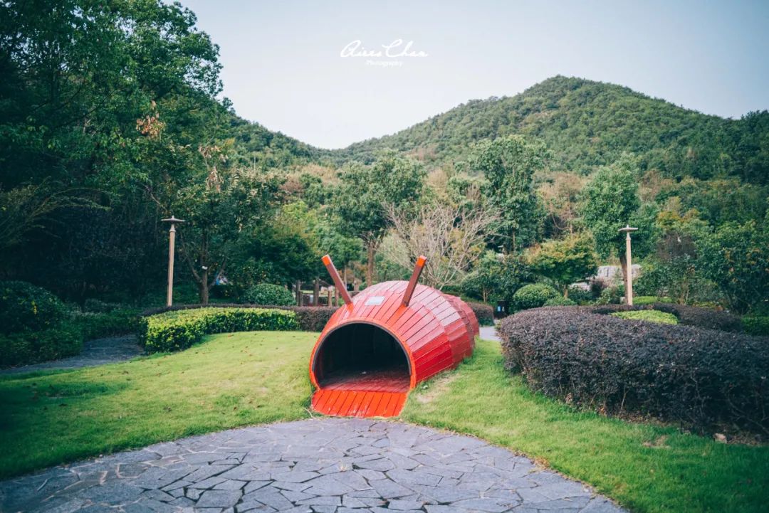 这是湖边度假酒店的性价比天花板！还有双11玩法剧透