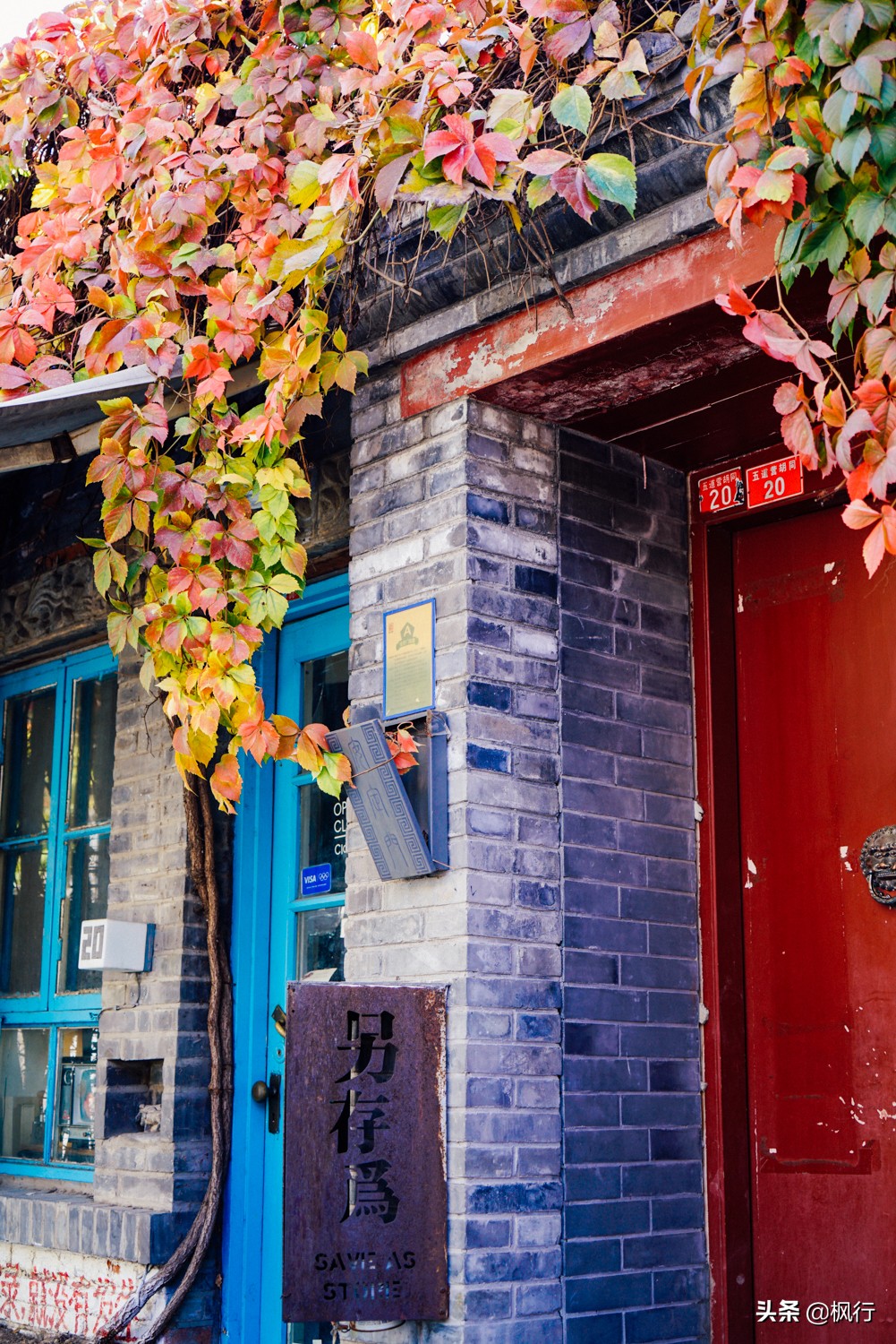 北京18个看银杏的好地方在哪,北京八大处看银杏攻略