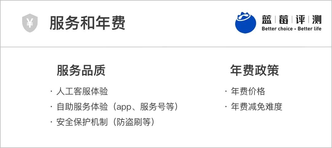 蓝莓评测,蓝莓测评推荐