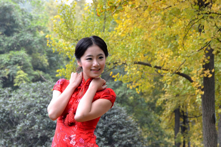 泰兴白果树的图片,泰兴老银杏树