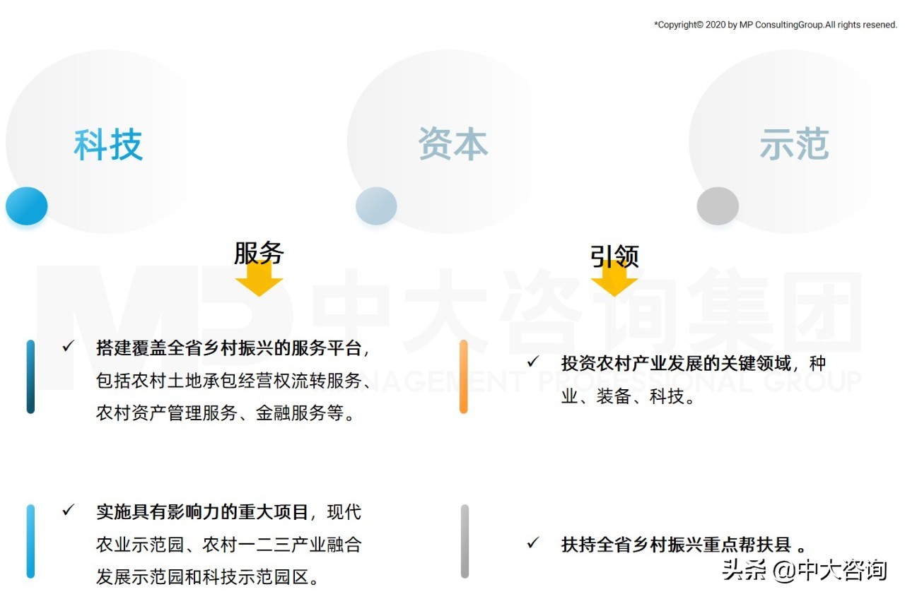 中大咨询：全面推进乡村振兴，平台公司这么干