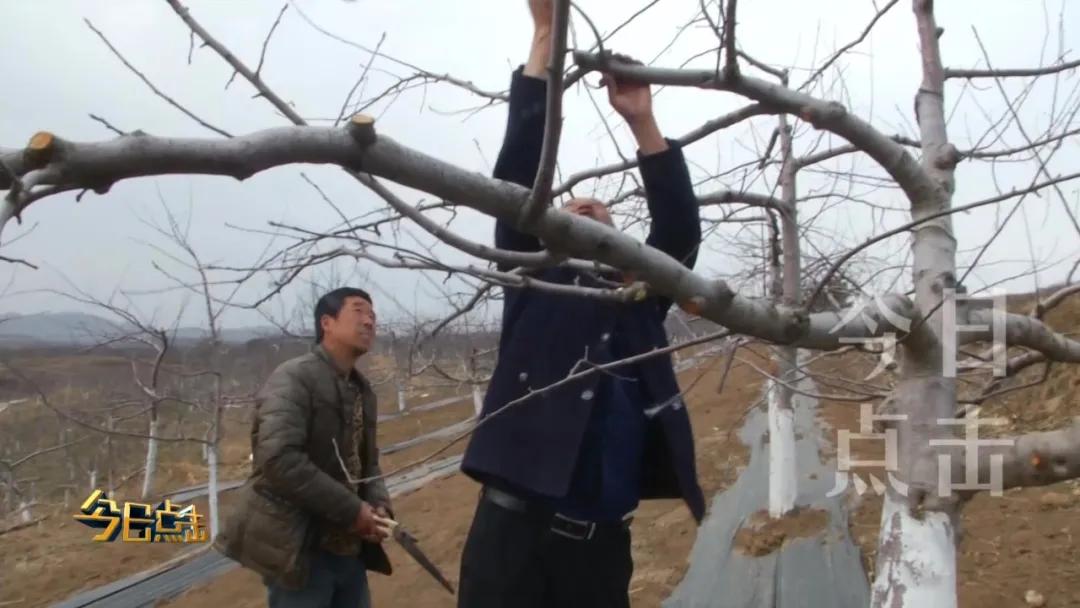铜川印台脱贫攻坚,铜川印台区脱贫户