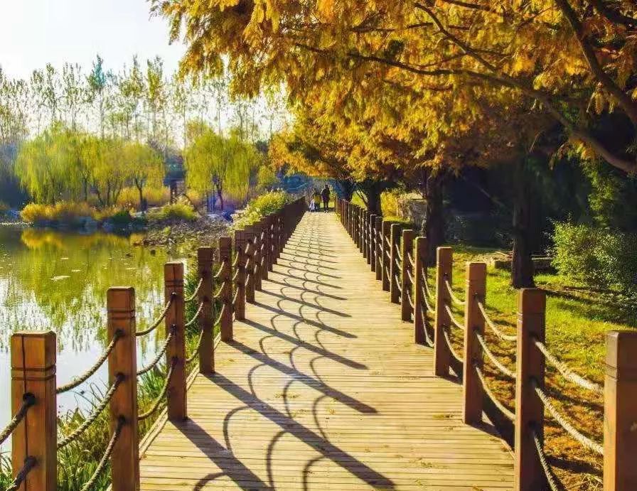 稻香湖秋天,海淀稻香