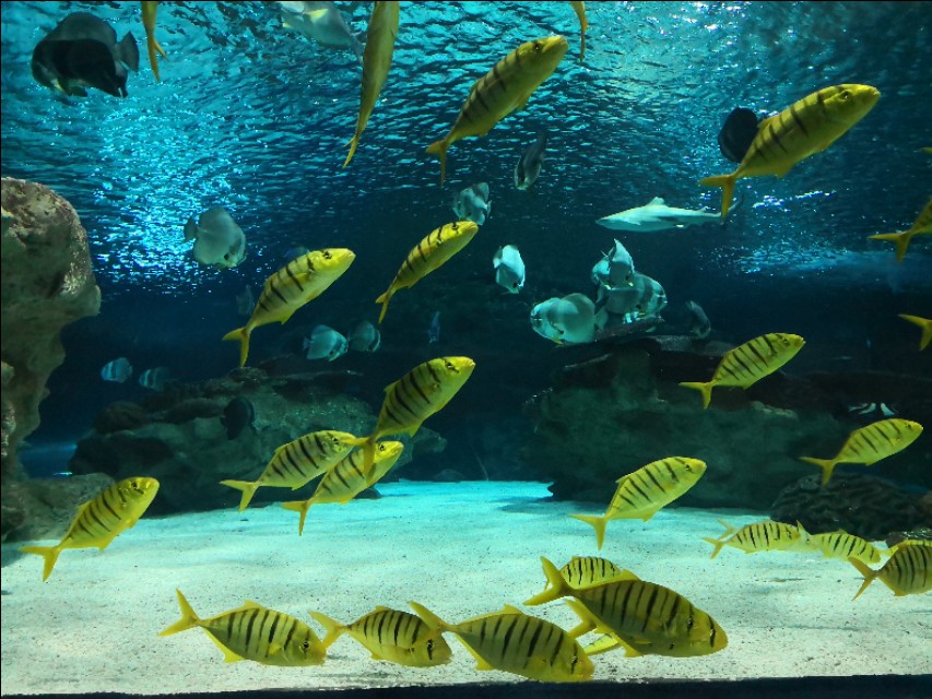 北京工体富国海底世界周一营业,北京工体富国海底世界旅馆