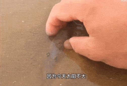 为何年轻人都在沉迷赶海视频,为什么大家都爱看赶海