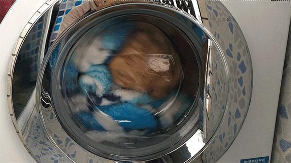 洗衣服把洗衣液倒错槽怎么办,洗衣液直接倒衣服上变色怎么恢复