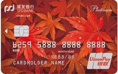 个人需要建议销掉的15家银行的20+张卡