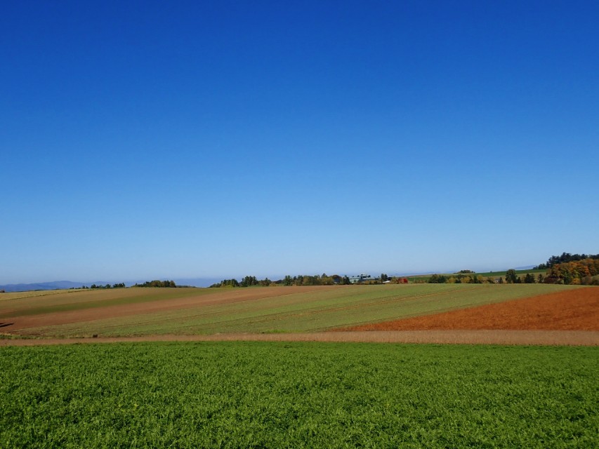 日本从南到北旅游路线,从南游到北