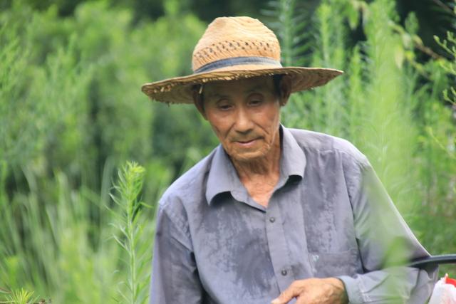 “人老了，儿女不赡养老人怎么办？”4位老人给出4种方法，聪明