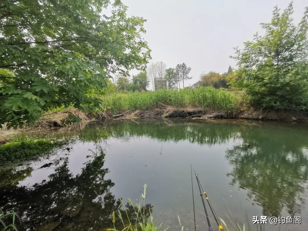 不到2米的水深怎么钓鲤鱼,中间水深但是够不到怎么钓大鱼