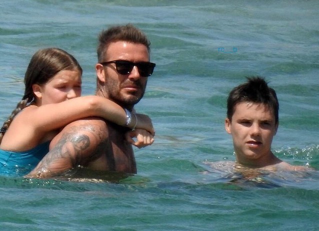 小七变胖了,小七胖成啥样了