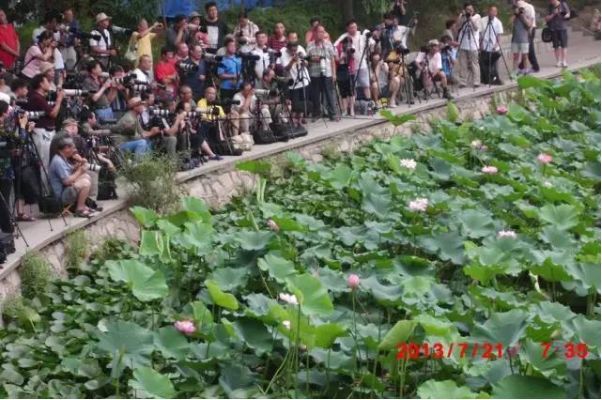 摄影圈里的潜规则是什么,揭秘摄影行业套路