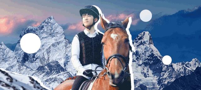 必备的马术知识,马术能不能速成