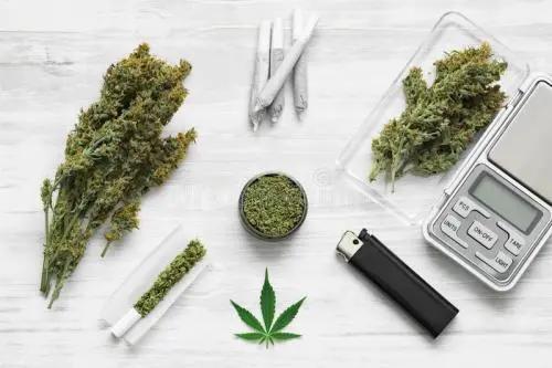 6.26世界禁毒日直播,6月26日国际禁毒日佛山直播