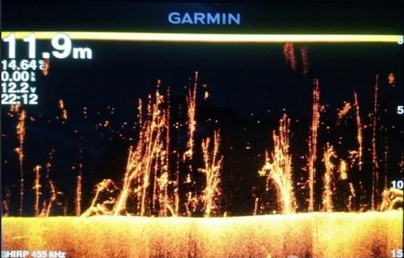 筏钓探鱼器的使用方法,筏钓探鱼器正确使用方法