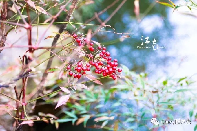 苏州旅游值得去的景点,去苏州旅游攻略最好的景点