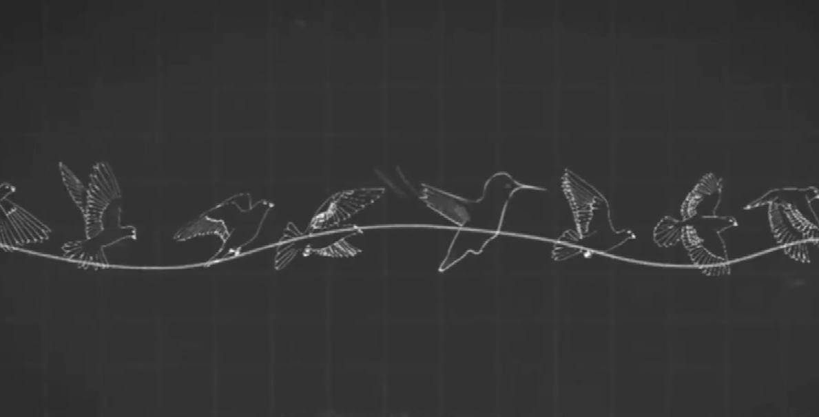 中国鸟形仿生无人机,仿生蜻蜓扑翼无人机测评