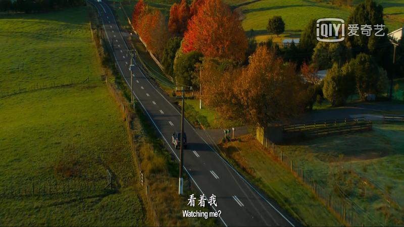 9部日本治愈系纯爱电影推荐,一部让你感动落泪的纯爱电影