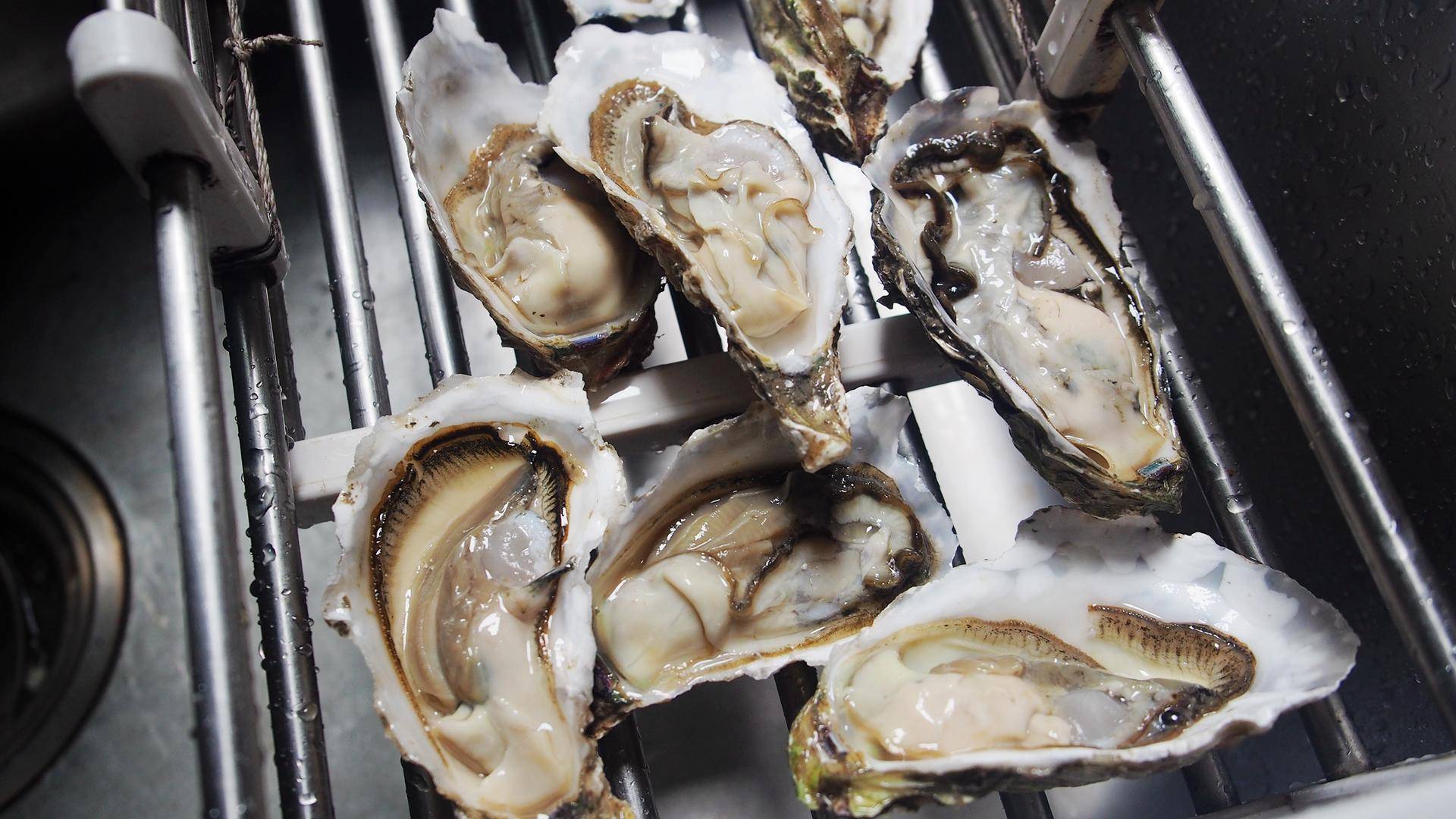 生蚝最好吃的5种做法,如何打开生蚝以及生蚝的三种吃法