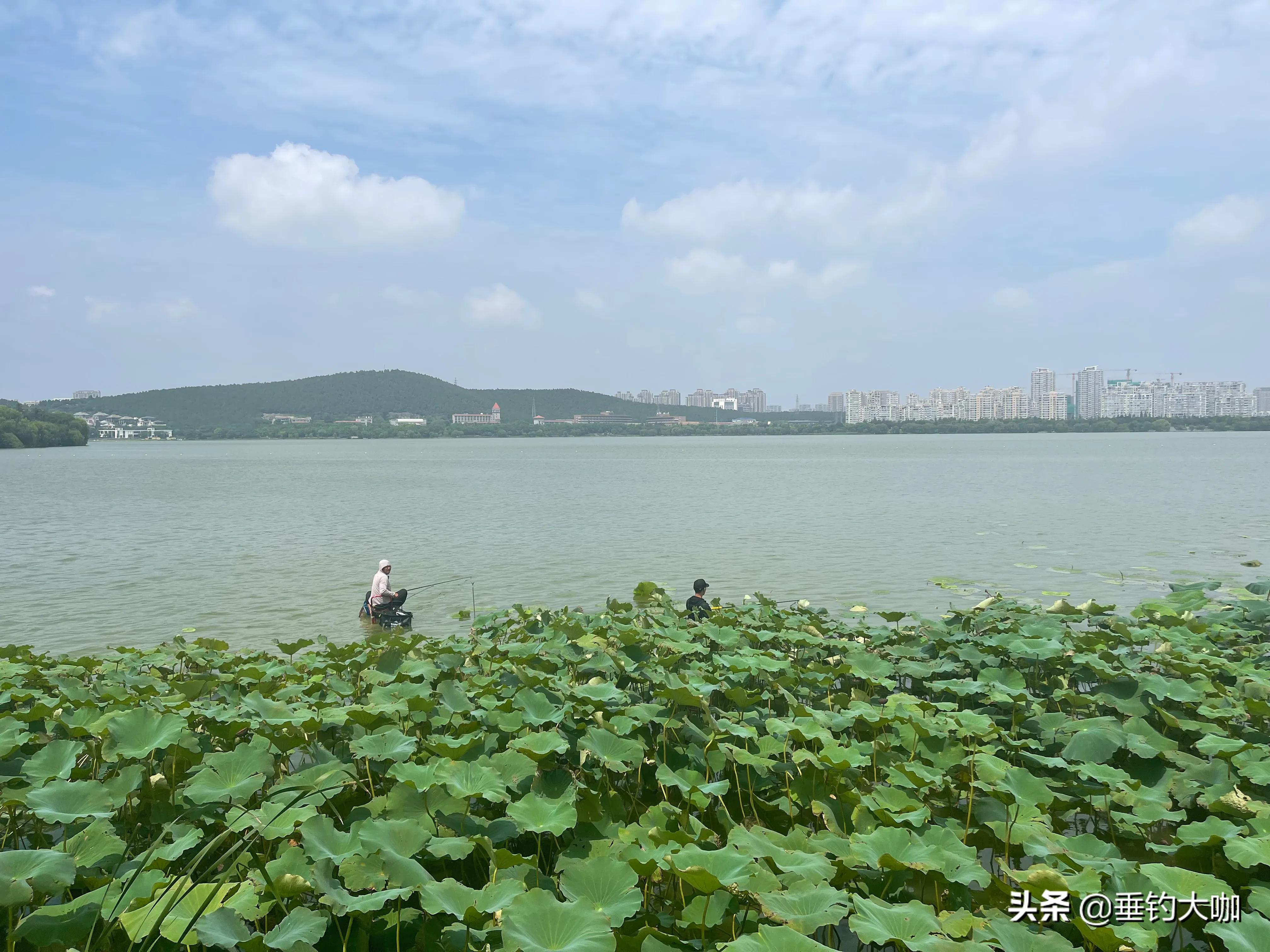 推荐几款性价比高的巨物竿,大物竿哪一款性价比最高