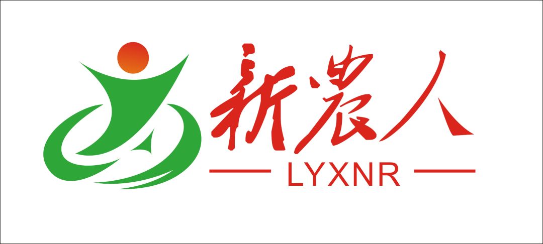 带你走进农村新民居,今日头条龙岩新农人