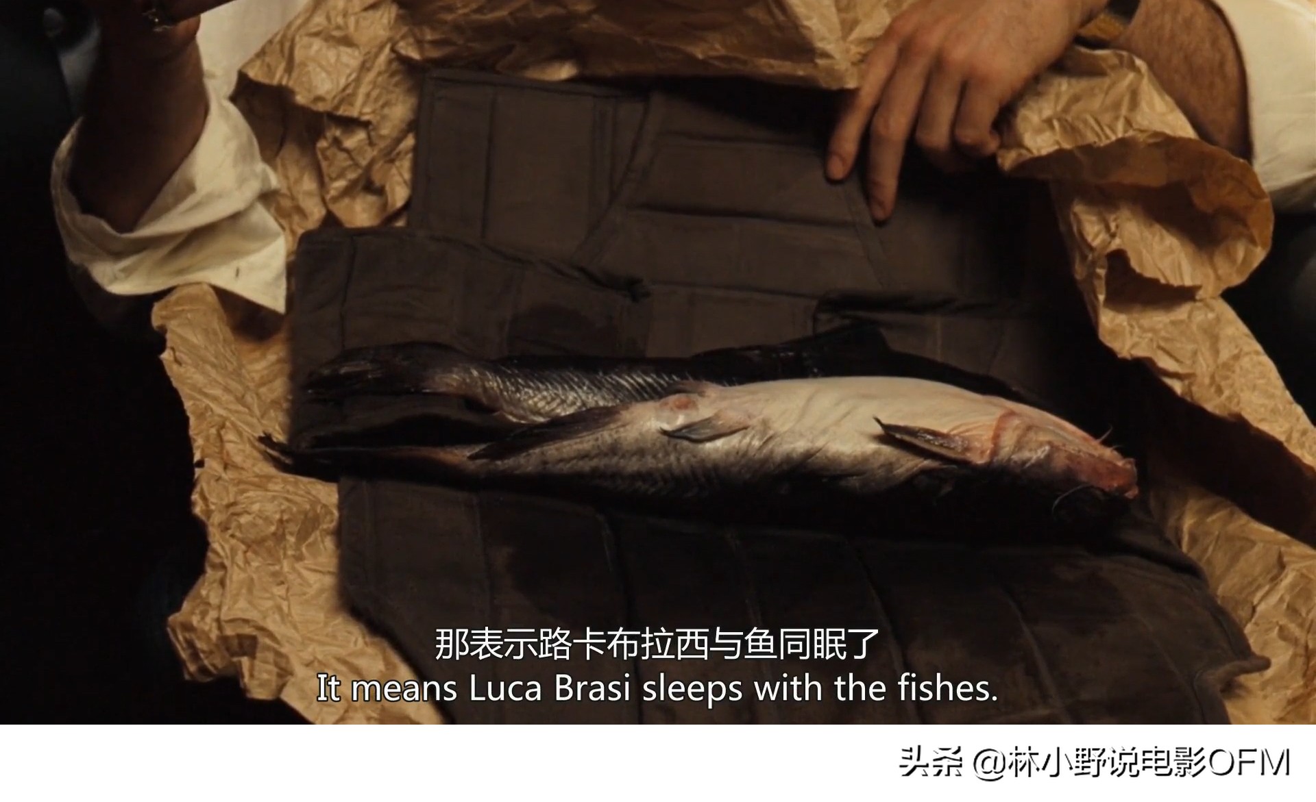 床上的马头是真的假的？桑尼挨了多少枪？好莱坞经典「教父」解密