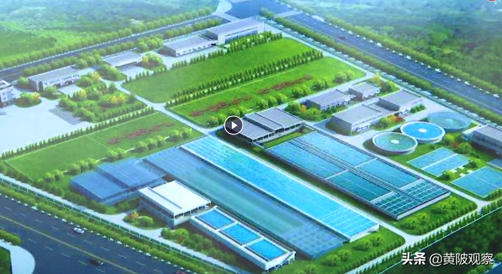 黄陂区北部发展项目有哪些,湖北黄陂区2023年项目清单