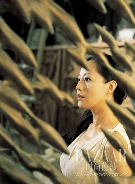 曾经全网被黑的他现在怎么样了,评价现在的章小蕙