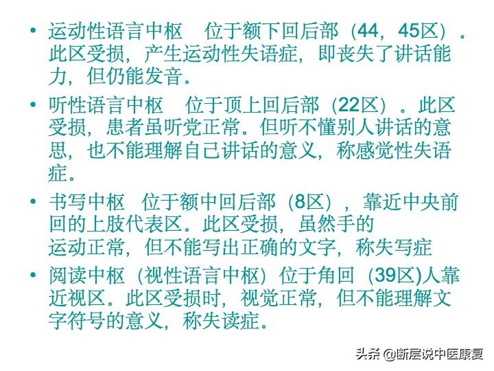 中枢神经系统断层解剖讲解,中枢神经3d解剖动画