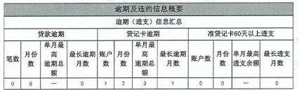 怎么看征信个人报告,个人征信报告怎么看有没有逾期