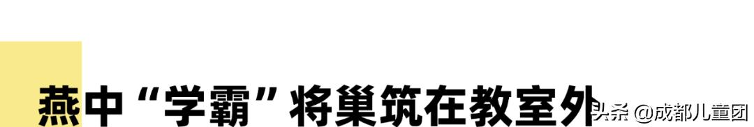 生态园的青蛙，屋檐上的燕子……都是成都这所小学的“校宠”