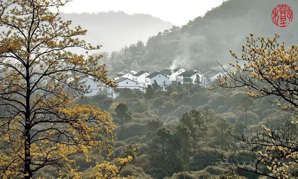 苏州通安的特色,苏州通安有什么美食