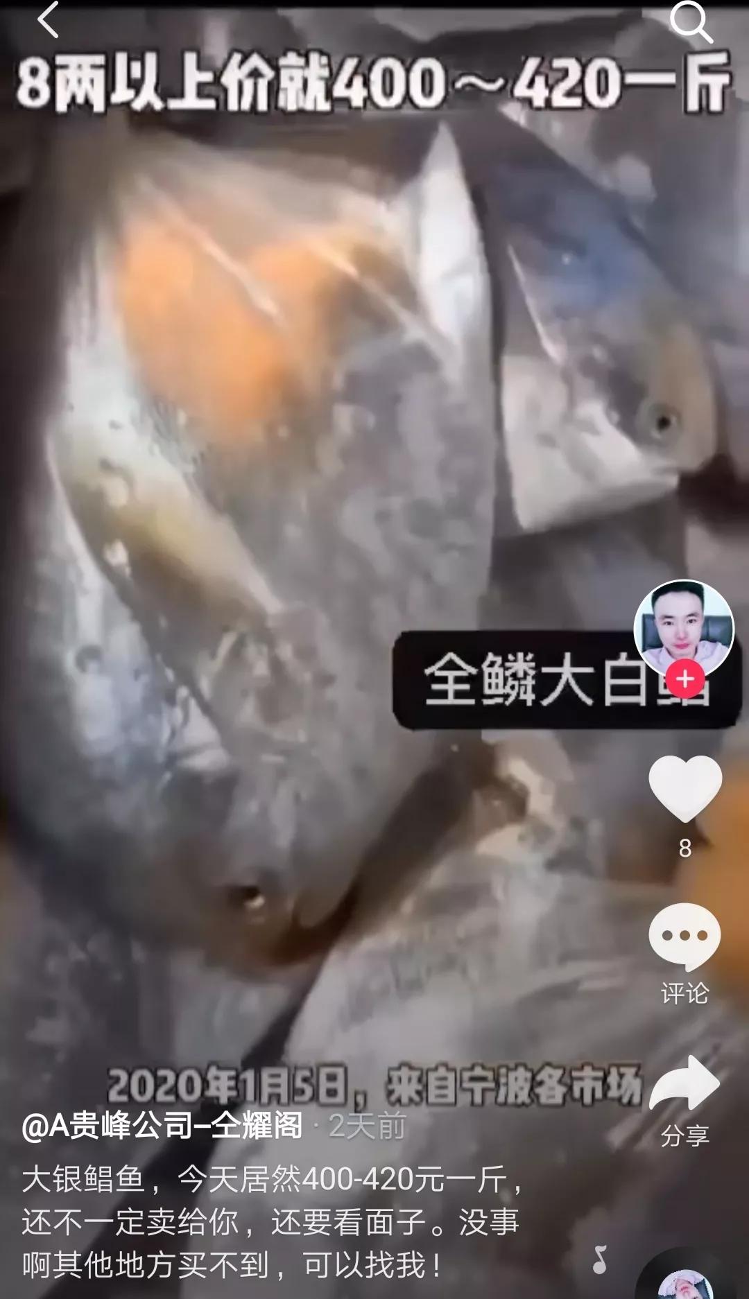 舟山流网大白鲳,淡水白鲳多少钱一斤