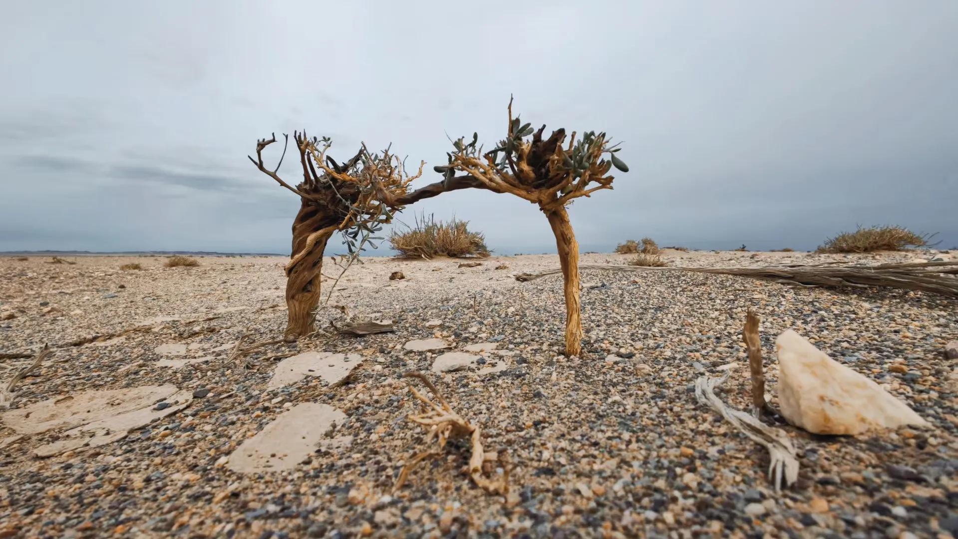 绗旀潵灏忚,绗旀潵