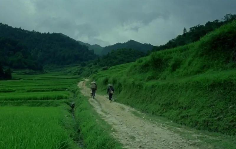 杀狗十多年真实事件,杀狗真实事件全过程后续