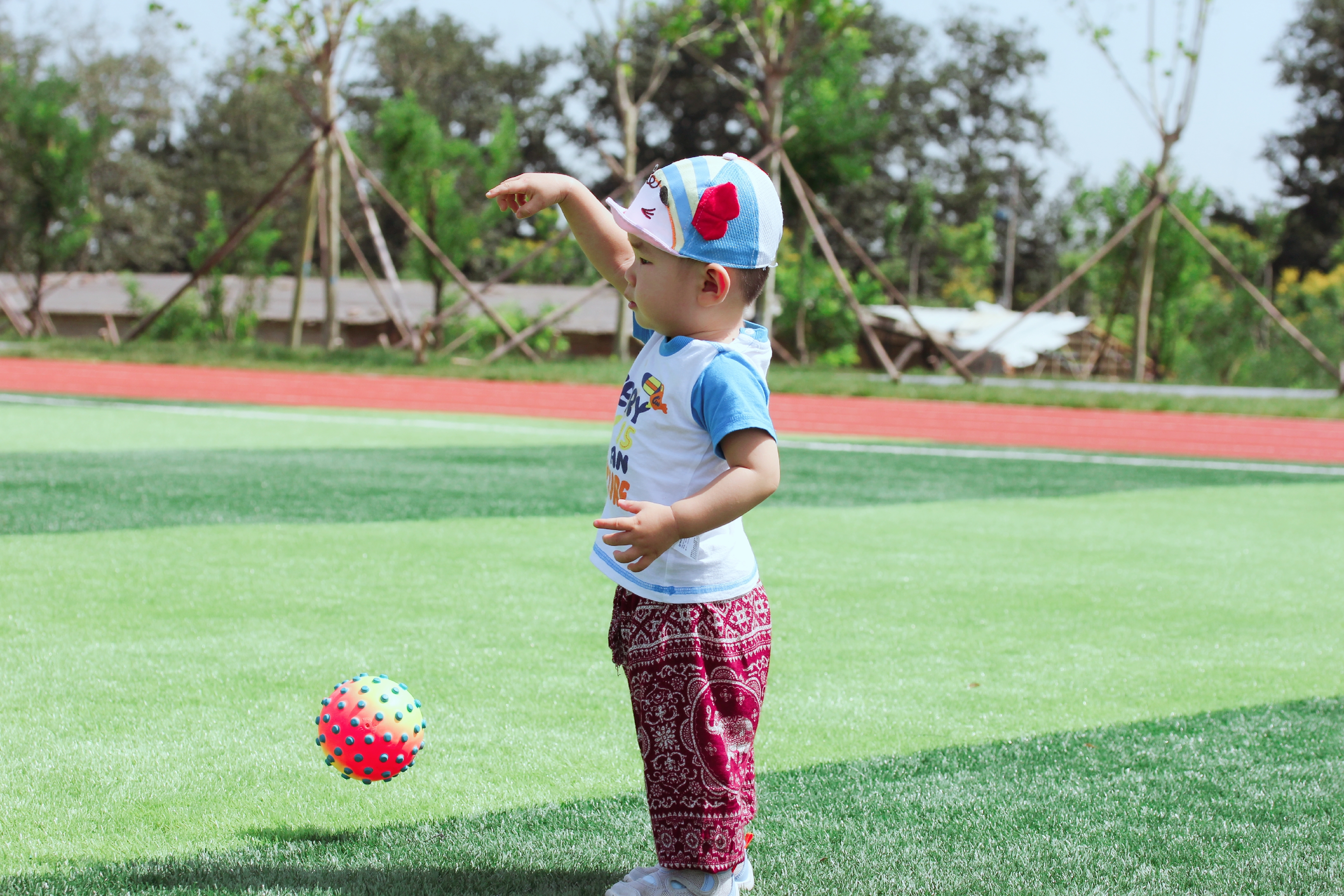 北京有哪些公园有足球场,北京超大绝美花海在哪儿