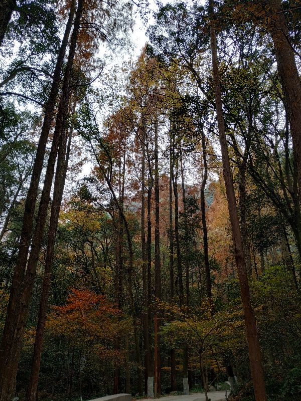 杭州市周末自驾游去哪里好玩,杭州出发周末旅游攻略
