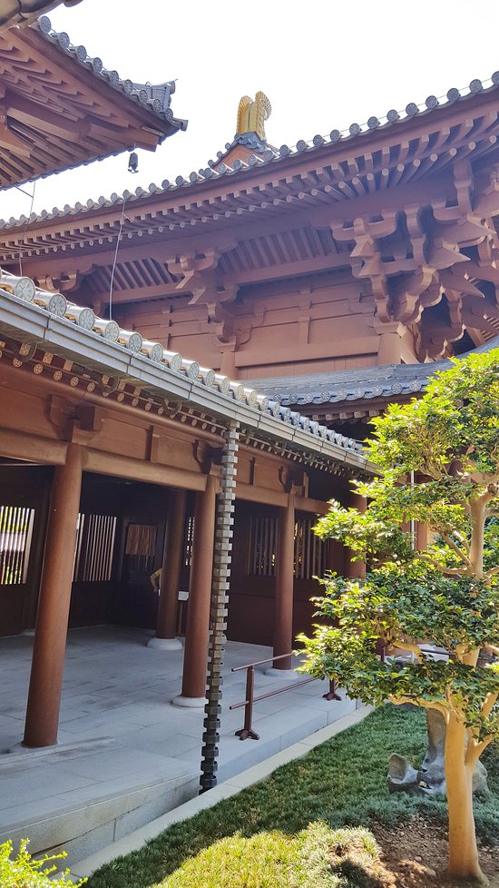 香港志莲净苑地图,香港志莲净苑好玩吗