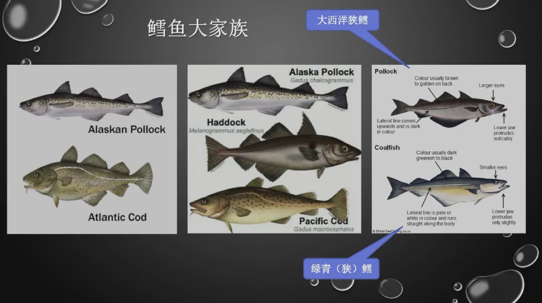 樊哥说中国美食,樊哥讲冰鲜生鲜