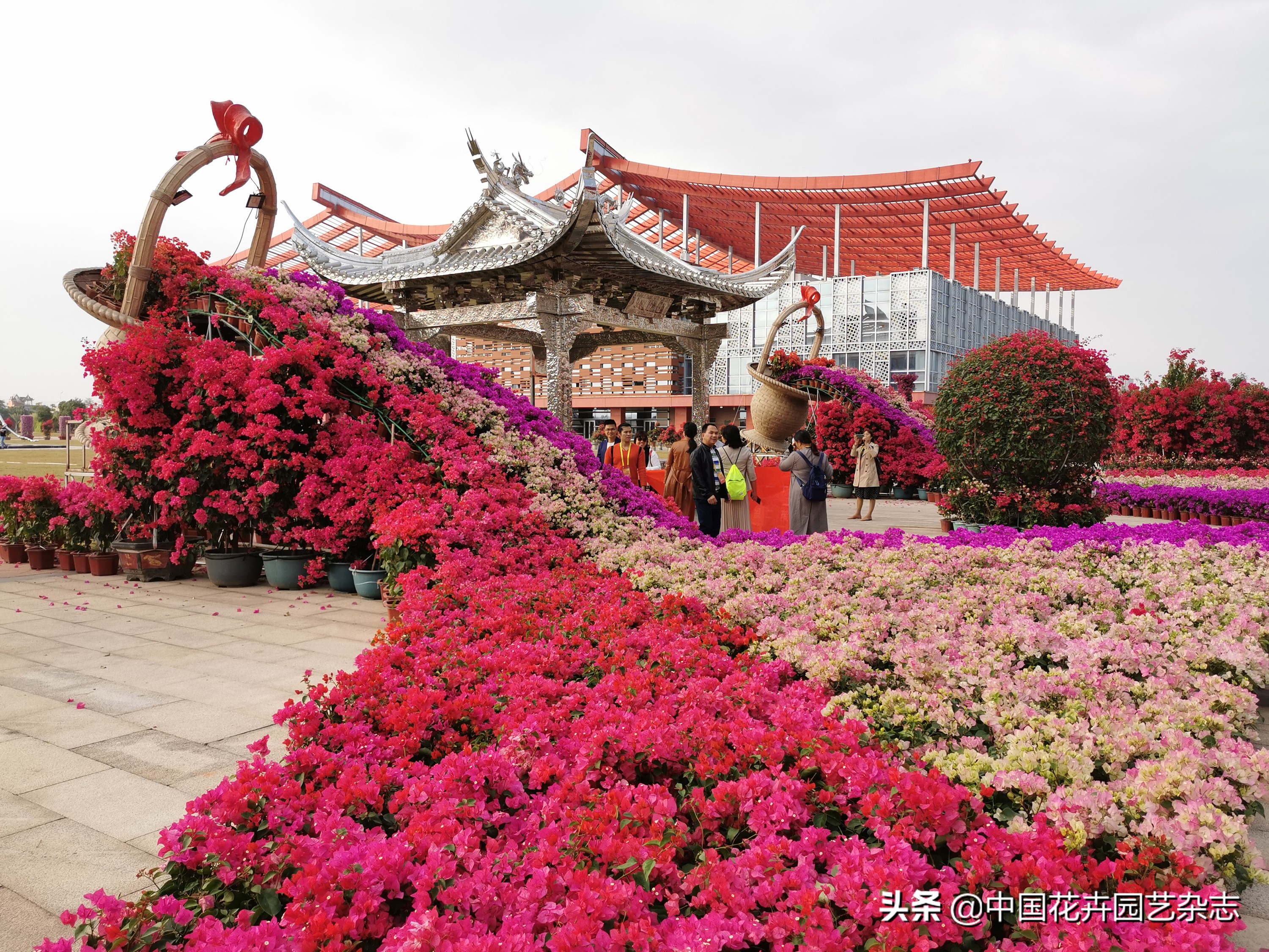 为产业发展提振信心注入新动能,为激发市场活力添动能