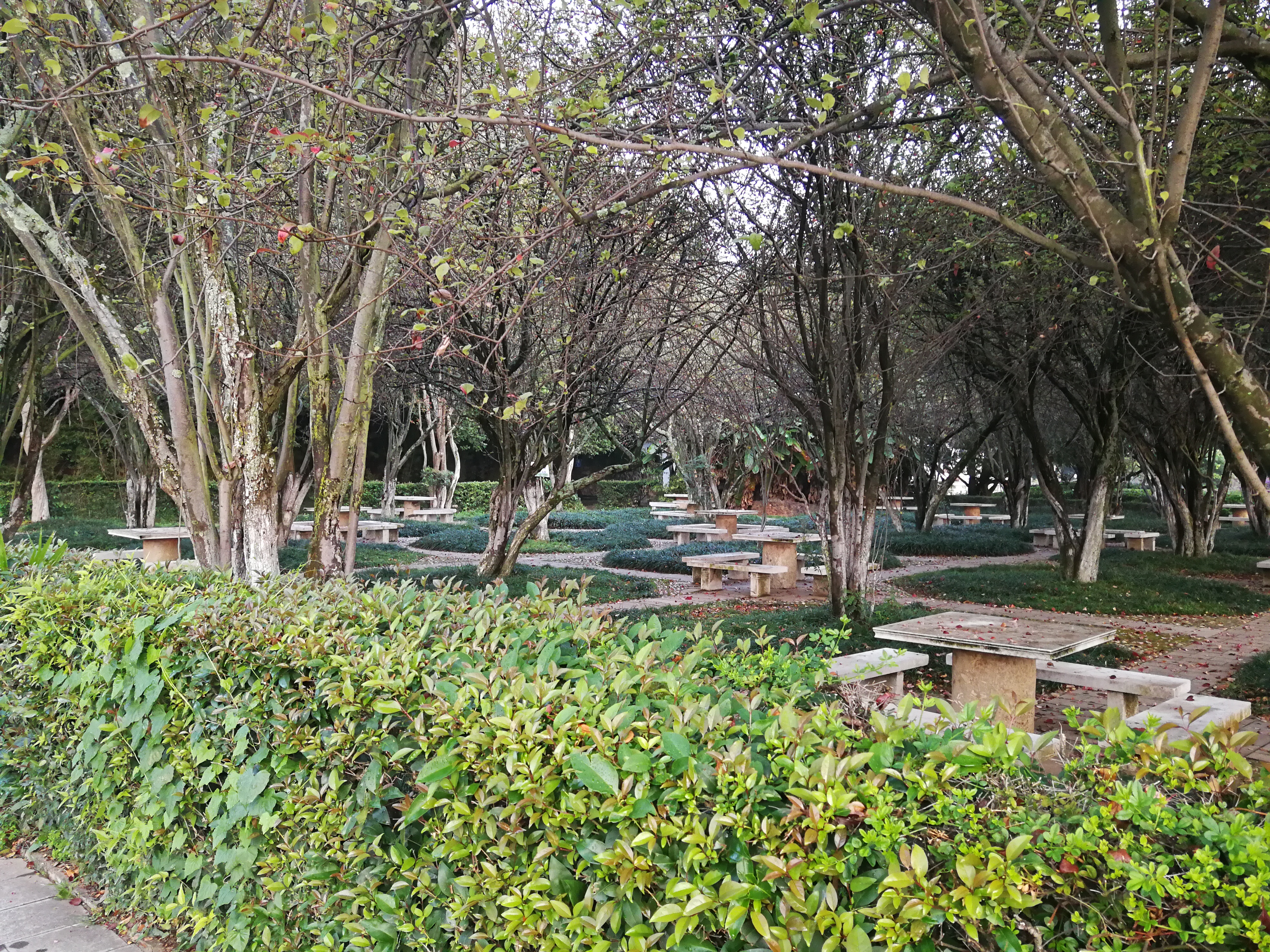 庾澄庆滇池边,滇池畔庾家花园