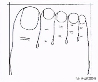 从脚趾决定你的颜值,你的脚与性格