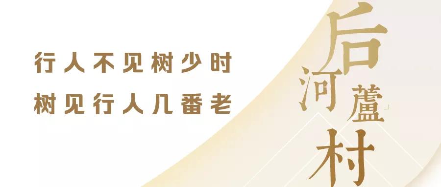 今天，带郑州的老铁们逛吃后河芦