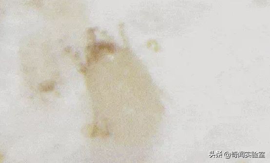 车内灰尘越来越多！简单教你一“妙招”，天天开干净新车