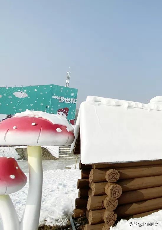 顺义冰雪活动精彩纷呈，快来这两处开启玩雪之旅~