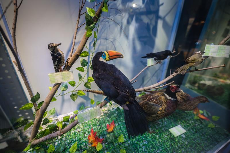 厦门冬春攻略,夏天厦门旅游攻略美食篇