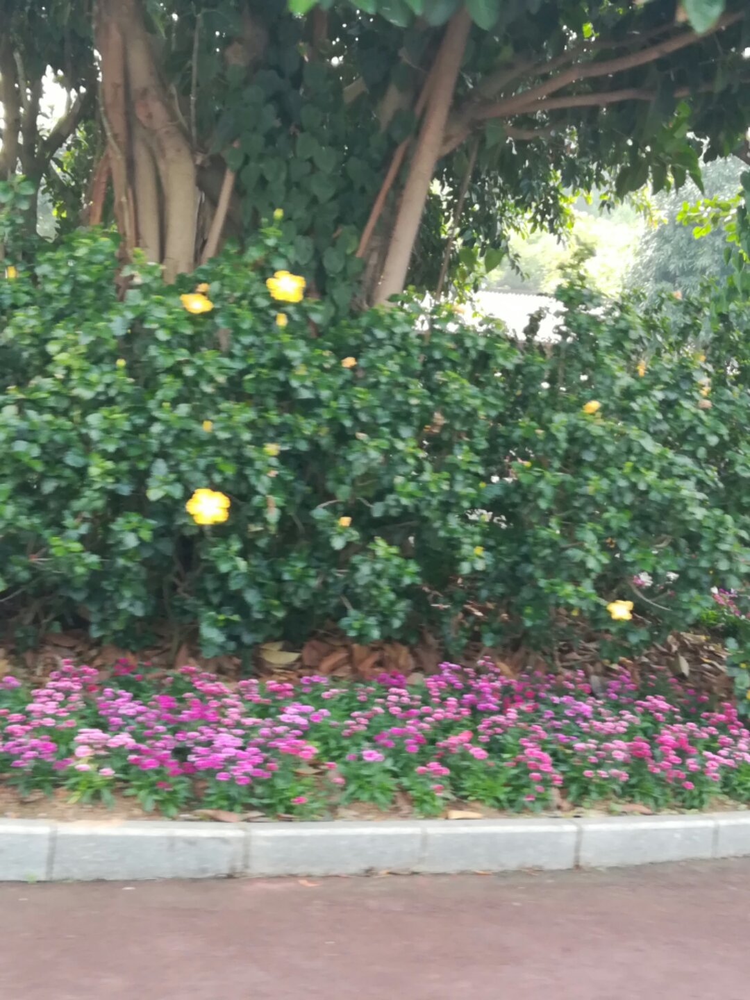 青秀山奇幻之旅,南宁2022奇妙之旅