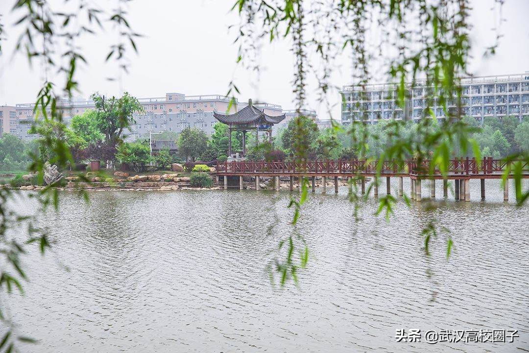 爸妈我想回家视频,爸妈我想回家了原视频